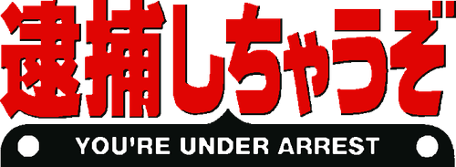 You're Under Arrest